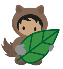 Salesforce's avatar